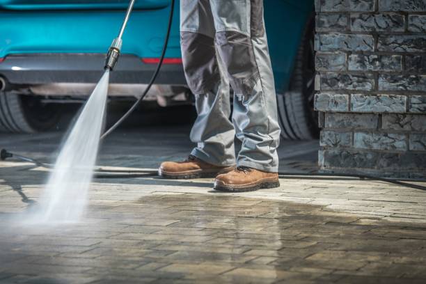 Best Soft Washing  in South Pasadena, CA