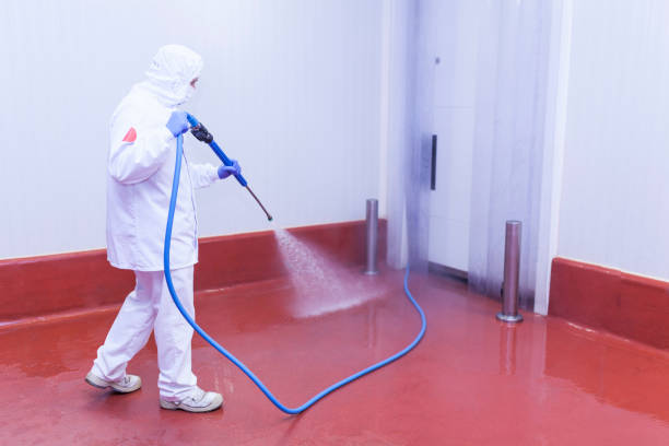 Best Spring Cleaning  in South Pasadena, CA